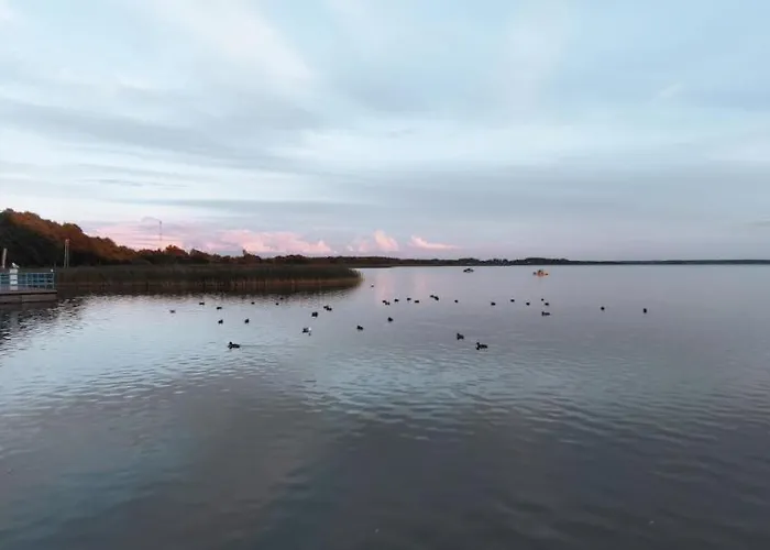 Przystan דומבקי